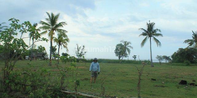 Land For Sale 1