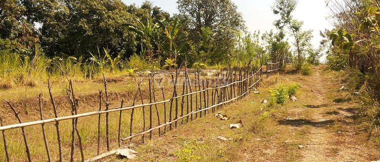 Tanah Kalibukbuk Buleleng Lovina Bali 1