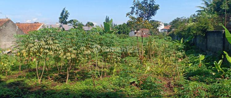 TANAH SAYAP DAGO, SIAP BANGUN 1