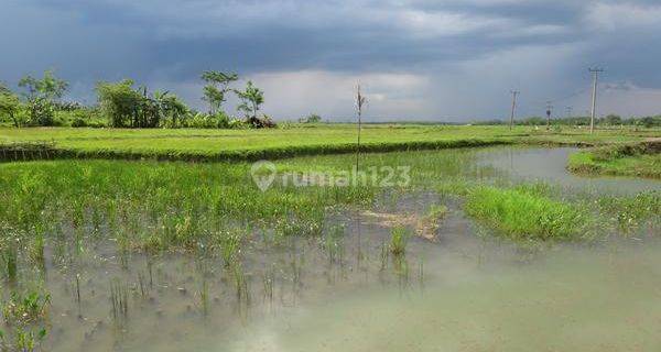 Tanah Di Klapanunggal, Bogor 1