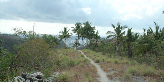 Land For Sale Beach Front 1