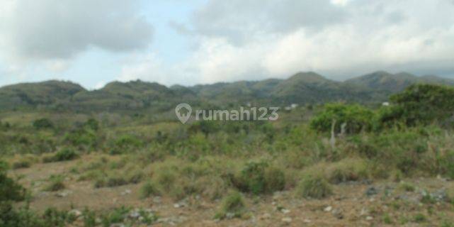 Land For Sale Located Nusa Penida Island 1