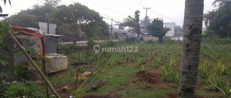 tanah luas dan murah lokasi strategis kemang parung 1