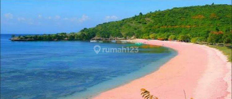 Tanah Los Pantai Pink Beach Harga Nego 1