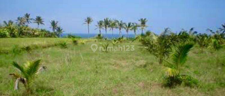 Beach front Land at Tabanan Bali 1