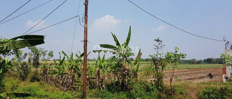 Tanah Industri, Raya Dlanggu, Mojokerto (dekat Pengolahan Besi) 1