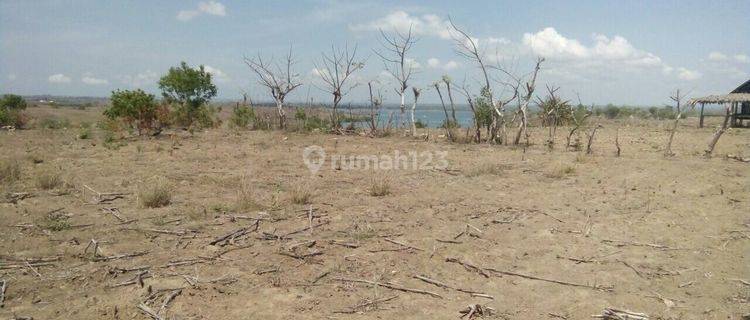 Lahan Murah View Pantai Depan Hotel Pantai Pink Lombok 1