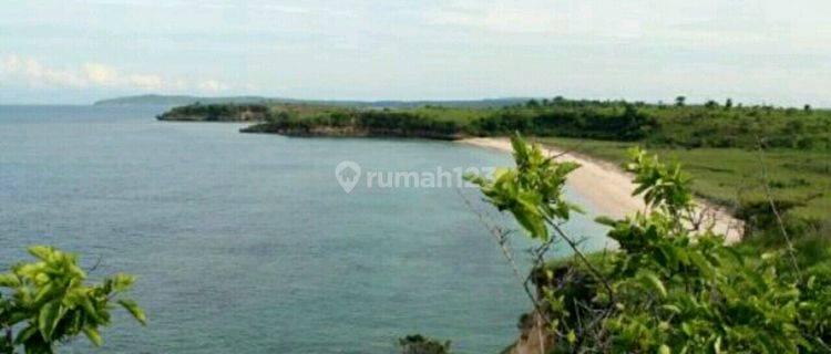 Tanah Murah Los Pantai Pink Cocok Hotel Dan Villa 1