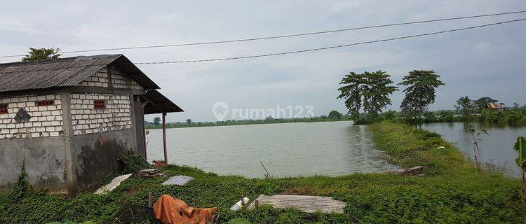 Tanah Industri, Pucuk, Lamongan 1