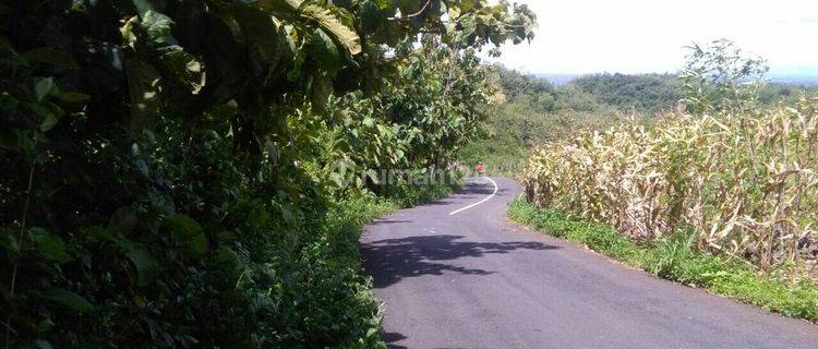 Tanah CANTIK dan istimewa gunung kidul paliyan 1