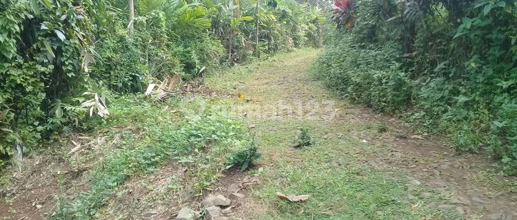 MURAAH Puool Tanah Kebun Jombang Wonosalam NOOL Jalan 1