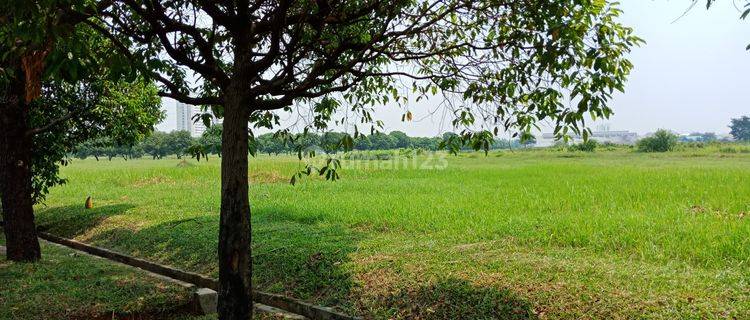 Tanah 1 Ha Jababeka 6 Cikarang Jawa Barat 1