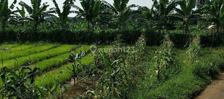 tanah murah dan luas di kota Bogor 1