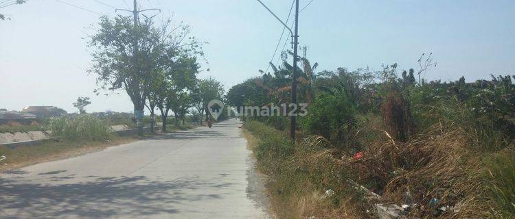 Dijual Tanah Untuk Gudang Dekat Pelabuhan Tanjung Mas Semarang  1