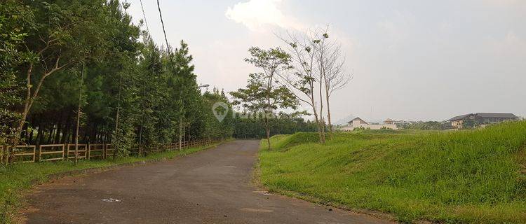 Tanah Budi Indah, sayap Setiabudi atas 1