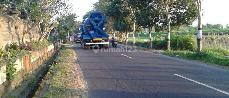 Bali - Desa Sedang Jl.Raya Krasan Tanah Cocok u,Perumahan 1