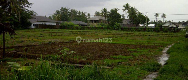 Tanah di panimbang jaya, Pandeglang Sertifikat Hak Milik 15.000 m² 1