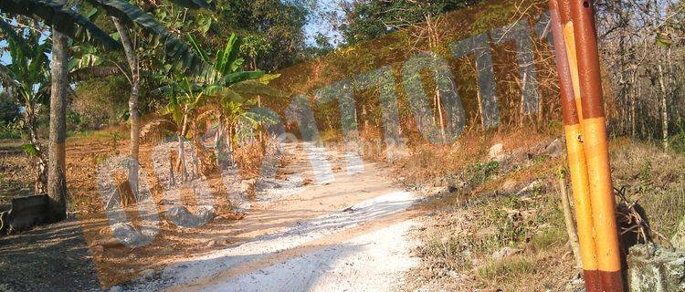 Tanah Uruk dan Dolomite Lokasi Lamongan 1