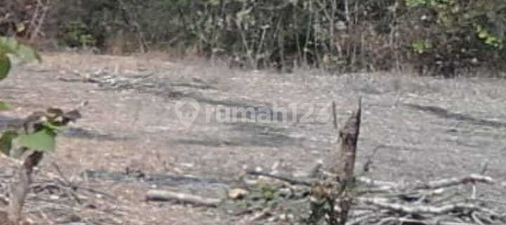 Tanah STRTAEGIS Kota Pasuruan Harga CIAMIIK Masih NEGOO 1