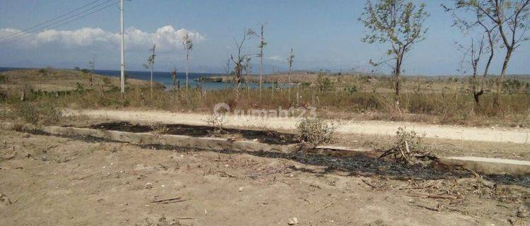 Lahan Murah di Pantai Pink Lombok 1