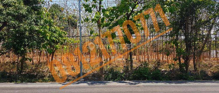 Tanah untuk Garasi Truck/ Gudang/ Perumahan Bancar, Tuban 1