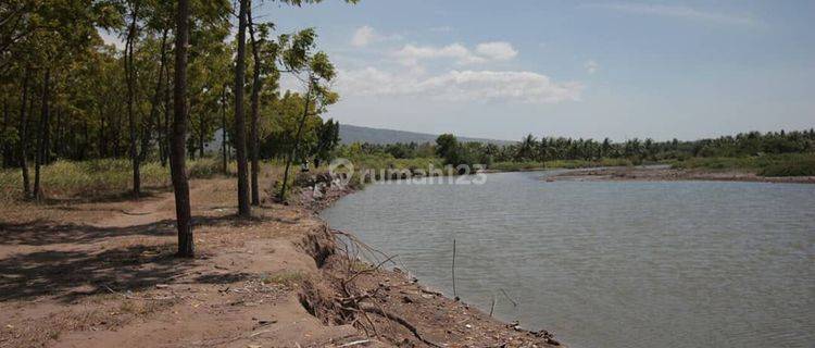 Tanah los pantai pringgabaya lombok timur 1