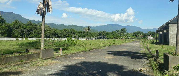 Cheap Plot Land Tinga tinga Gerokgak Buleleng 1