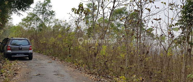 TANAH PEKARANGAN DI GUWOSARI VIEW PERBUKITAN DAN PANTAI SELATAN COCOK UNTUK INVESTASI 1