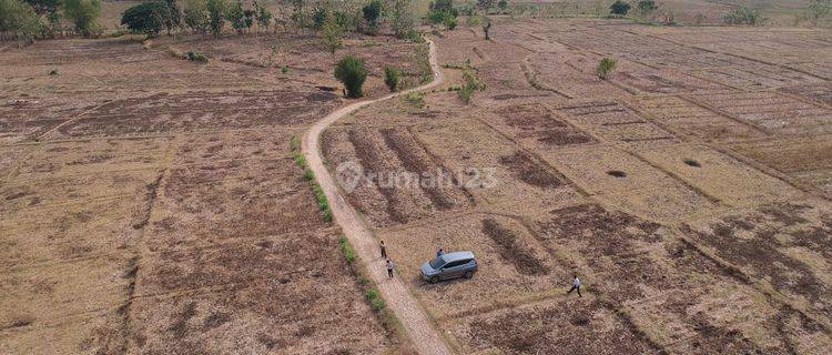 Tanah Industri Kembangbahu, Tikung, Mantup, Lamongan 1