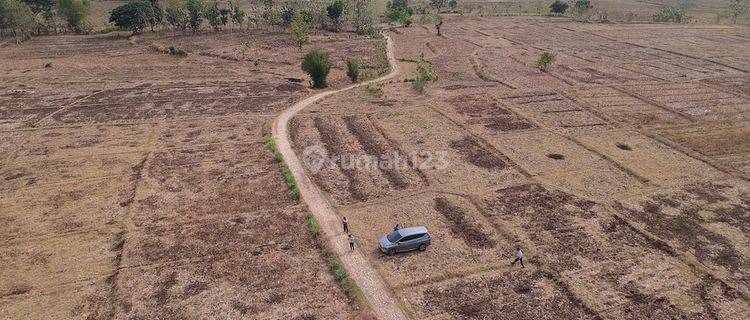 Tanah Industri Kembangbahu, Tikung, Mantup, Lamongan 1