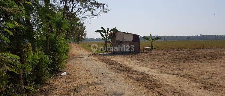 Tanah zona merah untuk industri dekat solo baru.. 1