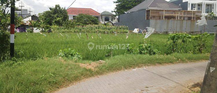 LAHAN di Kompleks Kost Padang Pasir depan UK Petra Surabaya 1