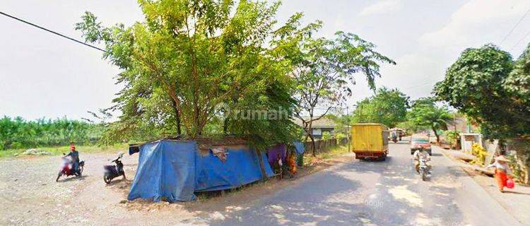 Tanah Cantik Siap Pakai Dicibarusah Cikarang 1