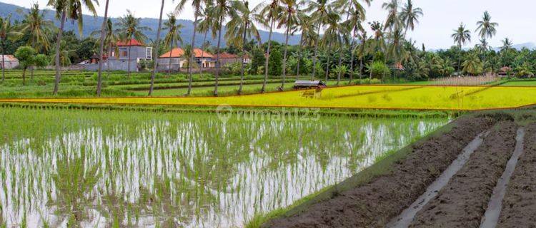 Tanah Pemukiman di Sambangan 1