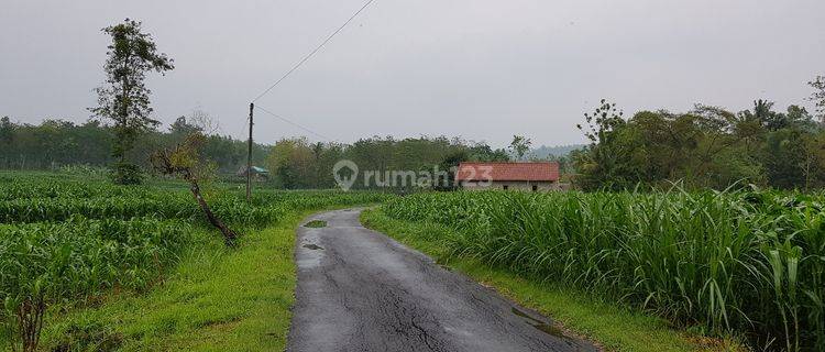 Tanah zona merah untuk industri berat di boyolali.. 1