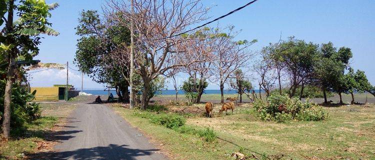 Strategis Tanah 16,5 Are Sangat Dekat Pantai Jumpai klungkung hanya 30 mtr dari bibir pantai lokasi Bypass IB Mantra 1