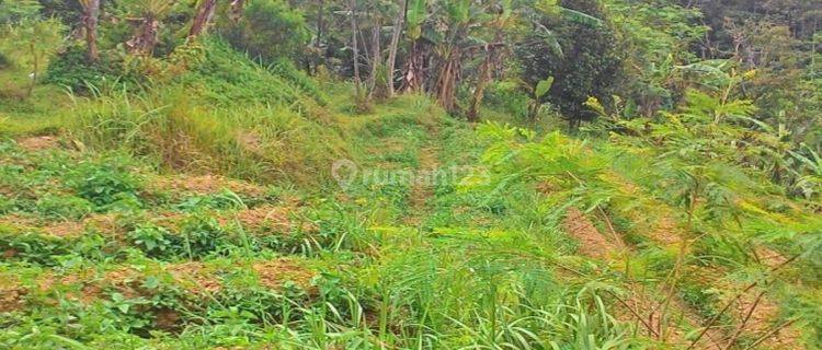 Purwakarta - Tanah cocok untuk VILLA, Bungalow, dan Outbond  lokasi  Objek Wisata Situ/ Danau Wanayasa. 1