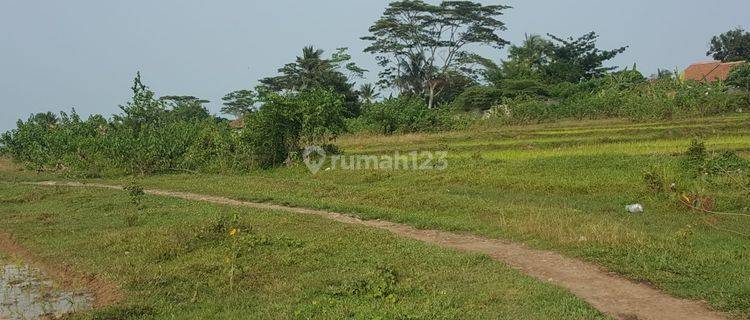 Tanah di pinggir jalan Raya Jawilan Cikande LT 1,8 Hk 1