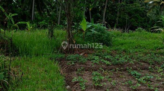 Tanah Murah Aspek Perumahan Di Petulu , Ubud , Gianyar , Bali  1