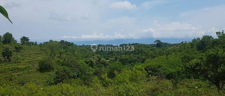 1,64 Hectare Outstanding Land at Nusa Penida 1