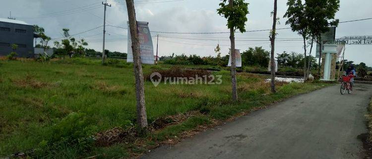 TANAH MURAH DI POROS JALAN RAYA DAENDLES, KOTA PROBOLINGGO 1