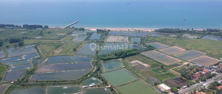 Tanah Tambak Pereng, Jenu, Tuban 1