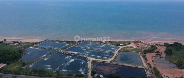 Tanah Tambak Bancar, Tuban 1