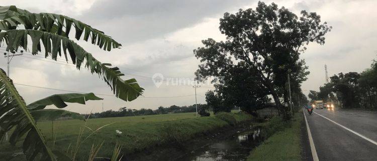 Tanah Industri Ngrajek, Nganjuk 1