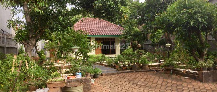 Tanah Murah SUNRISE GARDEN Bonus Rumah Cocok Bangun Cluster 1