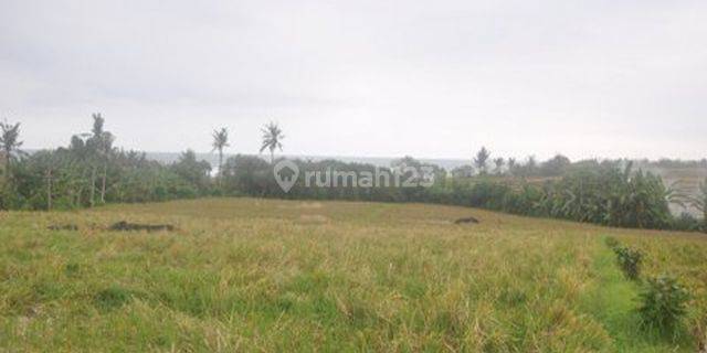 Absolute Beachfront Land - Pasut - 964 -NS 1