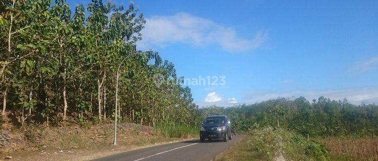 Jual  MURAH tanah dekat Kopi panggang Gunung kidul pinggir aspal 1