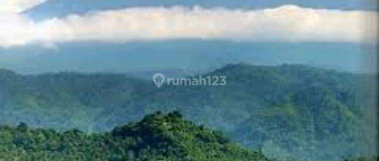 45 hectare Premium Beachfront Land FREEHOLD at Karangasem 1