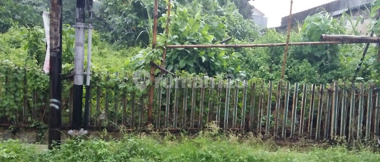 lahan di daerah perbukitan 1