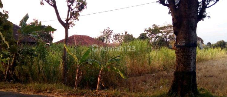 Tanah Bagus Siap Bangun Tasikmadu Jaten Solo 1